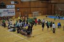 RMS Mini-HB 2012