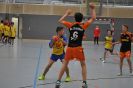 RMS Mini-HB 2013