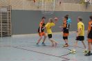 RMS Mini-HB 2013